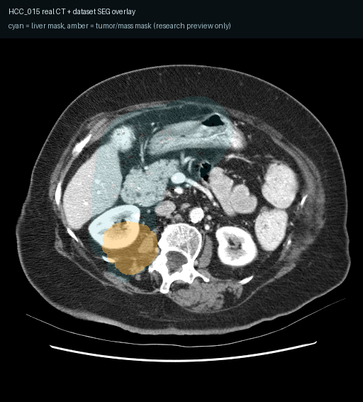 Imaging Investigation visual