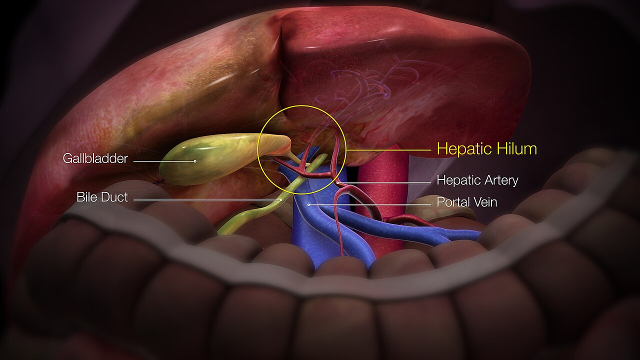 Clinical Context visual